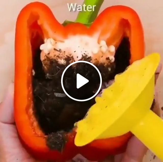 Home Agriculture DIY - Video & GIFs | funny, tips, agriculture