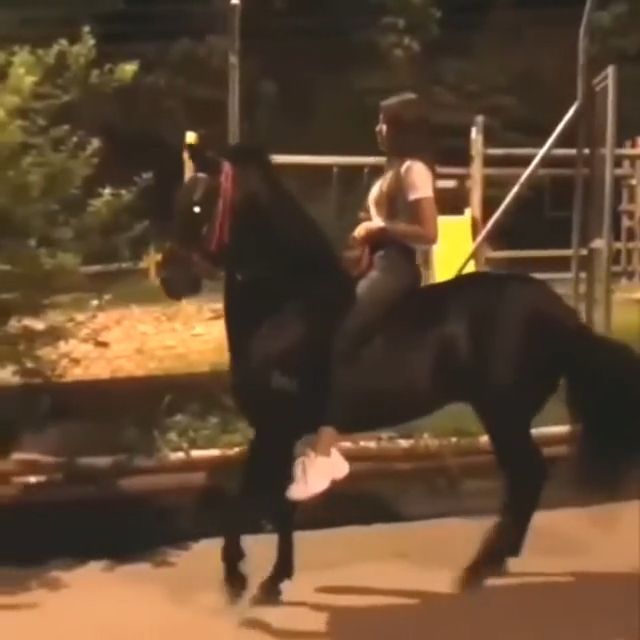 How to slow down a fast horse, black horse, funny, funny animal, ride a horse.