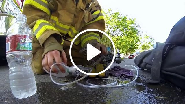 Rescue team saves kitten, rescue team, kindness, pet, kitty, kitten, water bottles, oxygen mask. #0