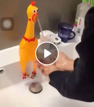 Funny videos - funny rubber chicken