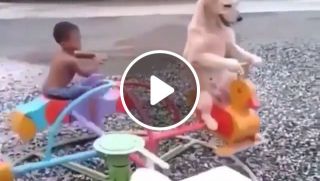 Game of childhood with man's best friend