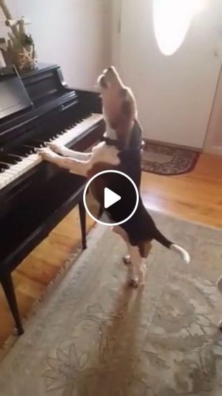 Sing And Play The Piano At The Same Time
