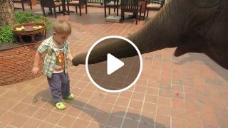 Cute baby feeding elephant