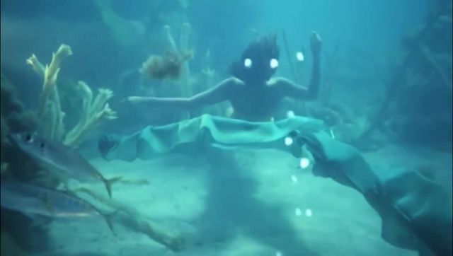 Under the sea memes - Video & GIFs | water memes,swimming memes,splash memes,diving memes,mermaid memes,mashup