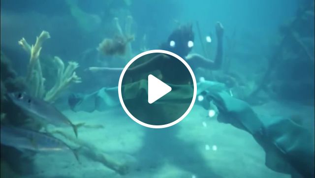 Under The Sea Memes - Video & GIFs | Water memes, swimming memes, splash memes, diving memes, mermaid memes