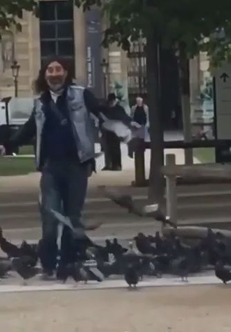 This Guy Is Just Loving Life. Funny. Dance. Pigeon.