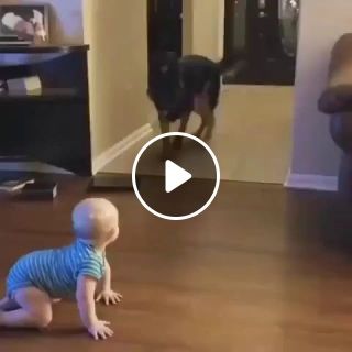 Dog And Baby Best Friends