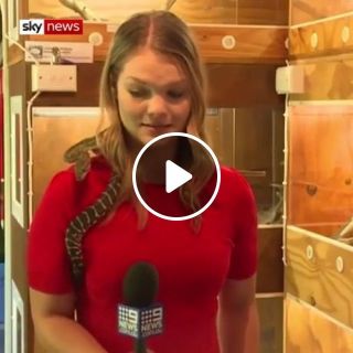 Snake Attacks Reporter Microphone In Australia