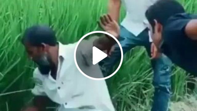Extremely Funny Snake Prank - Video & GIFs | funny, snake prank, snake prank india