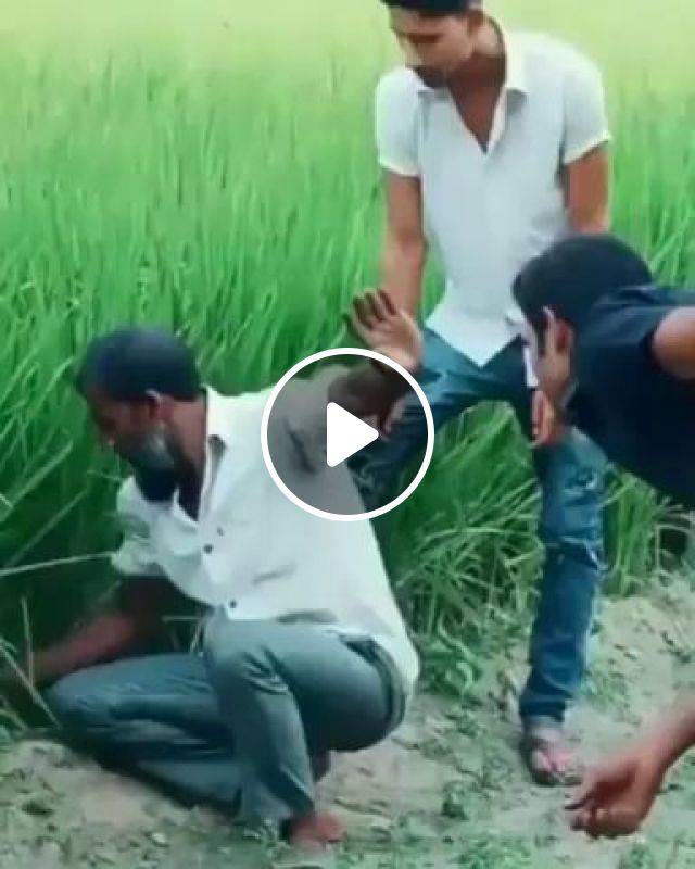 Extremely Funny Snake Prank - Video & GIFs | funny, snake prank, snake prank india