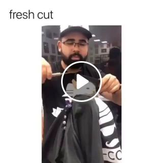 Cute Cat Haircuts