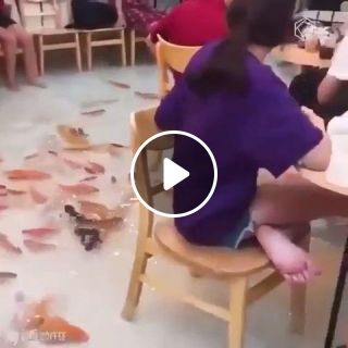Fish Cafe In Vietnam