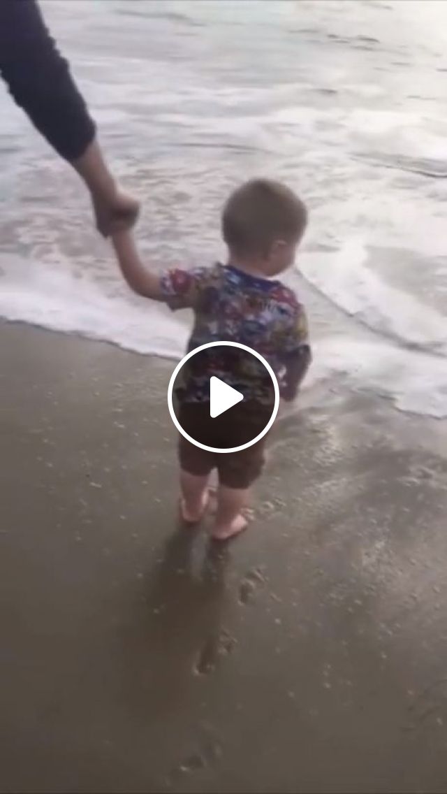 Funny, Funny Dog Videos, Beach, Kid.
