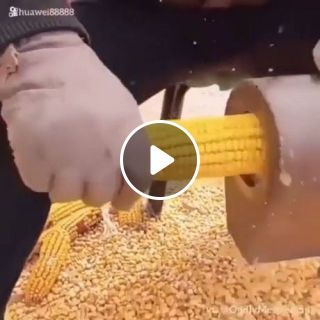 Sweet corn separator machine