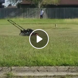 How To Mow A Lawn Professionally
