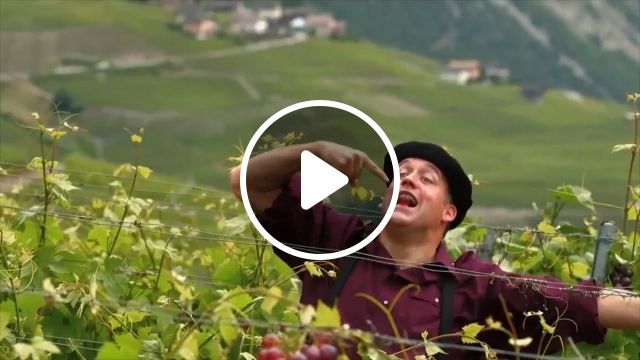 Yeahh, He Finally Succeeded - Video & GIFs | grape, funny, success