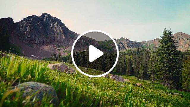 Beautiful Nature - Video & GIFs | beautiful nature, forest, lake