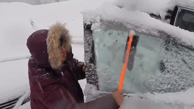 How to Remove Snow from Your Car? - Video & GIFs | snow,car,funny