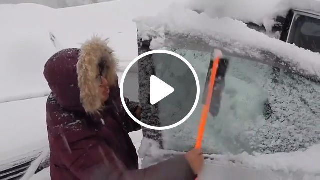 How to remove snow from your car?, snow, car, funny. #0