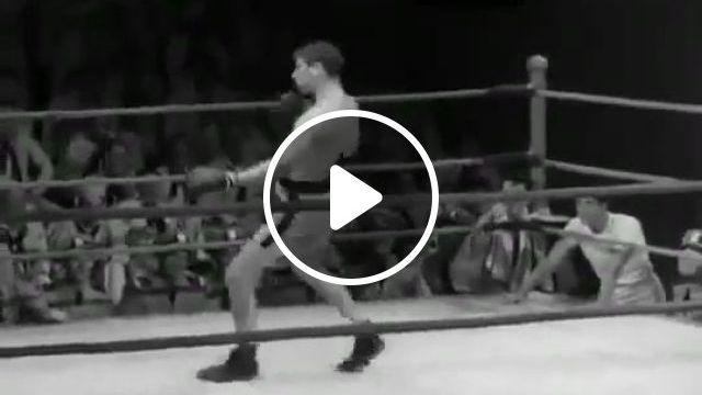 The Funniest Boxer Ever. Boxing. Funny. Funny Videos. Funny Sport Videos. #0 The Funniest Boxer Ever. Boxing. Funny. Funny Videos. Funny Sport Videos. #0