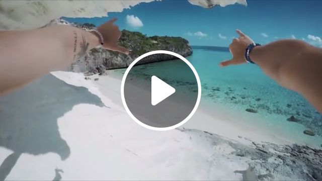 Enjoy Your Summer GIFs - Video & GIFs | beautiful nature gifs, sea, beach, dive, shark, summer, funny