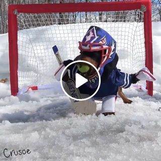 Excellent player hockey