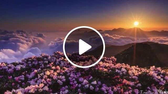 Beautiful Sunrise In The Mountains - Video & GIFs | beautiful nature, sunrise, mountain, flower, cloud
