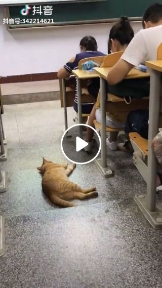 Classroom is where we sleep very well