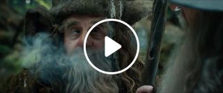 Radagast goes to a party memes