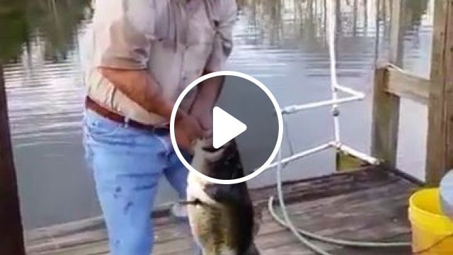 AMAZING Catch Fish Without Using A Rod. Fish. Hand. Funny. #0
