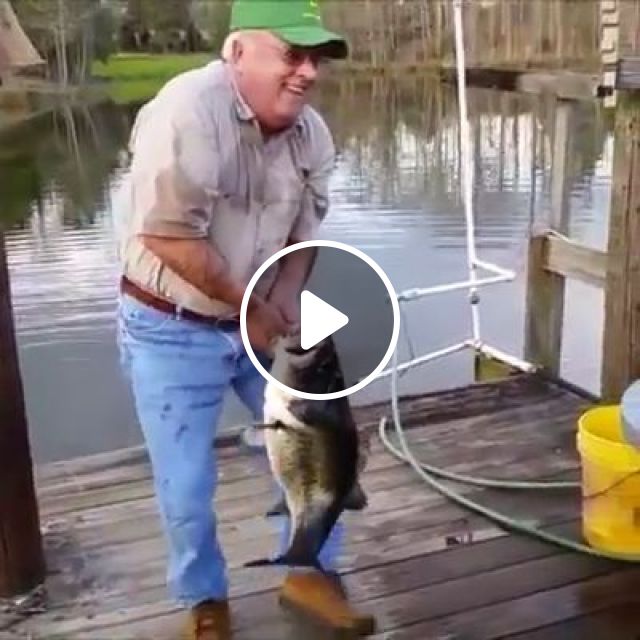 AMAZING Catch Fish Without Using A Rod. Fish. Hand. Funny. #1