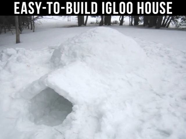 Easy to build igloo house, house, snow, ice, funny.
