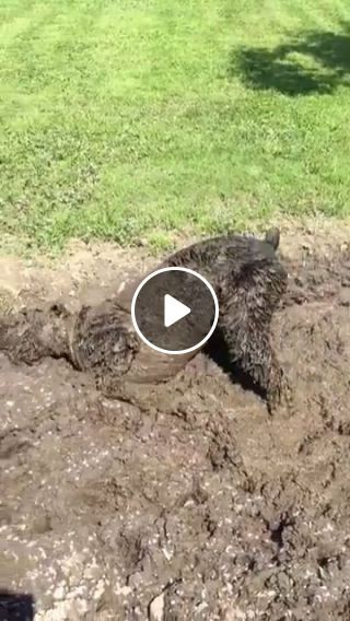 He thinks mud bath is good for the skin, lol
