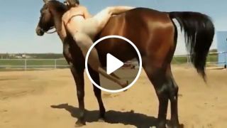 Horses are smarter than we realize
