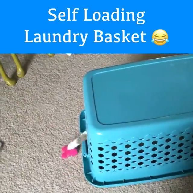 Self Loading Laundry Basket ^^ - Video & GIFs | cat,pet