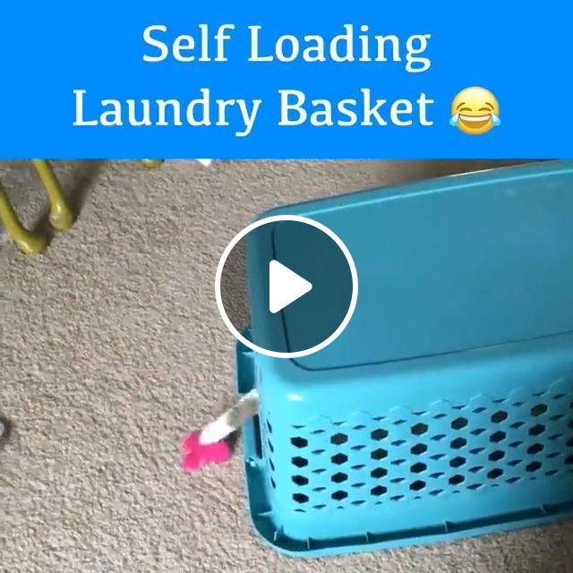 Self Loading Laundry Basket ^^. Cat. Pet. #1