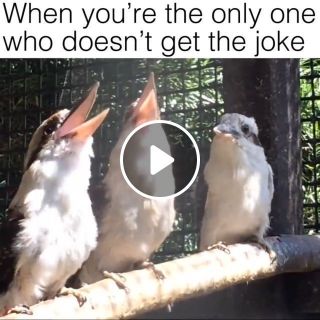 When you are the only one who doesn't get the joke