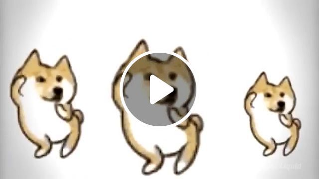 Shiba inu dancing, shiba inu, dancing dog, funny pet, funny dog. #0