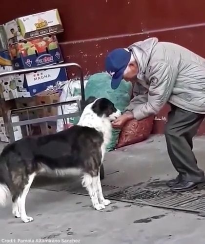 Good-hearted Man. Dog. Pet. Drink. Water.