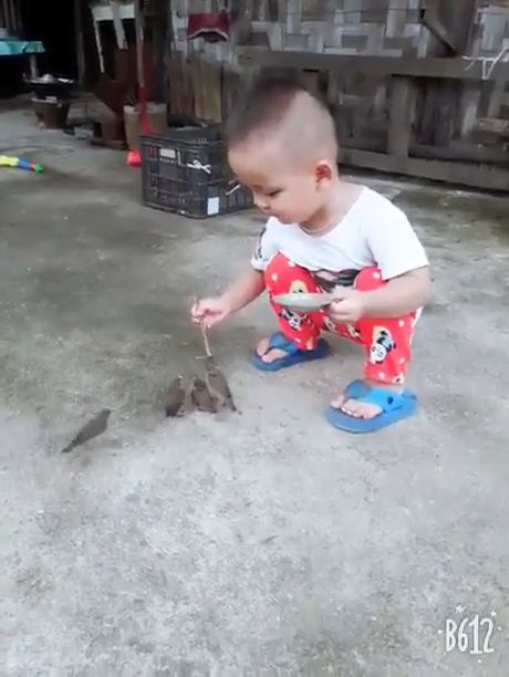 My Heart Melted Because Of This Lovely Act. Baby. Lovely. Animal. Bird. Eat.