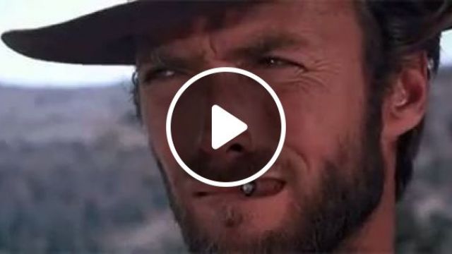 The Cat, The Good, The Bad And The Ugly, Haha - Video & GIFs | funny cat, funny pet, funny face, cowboys