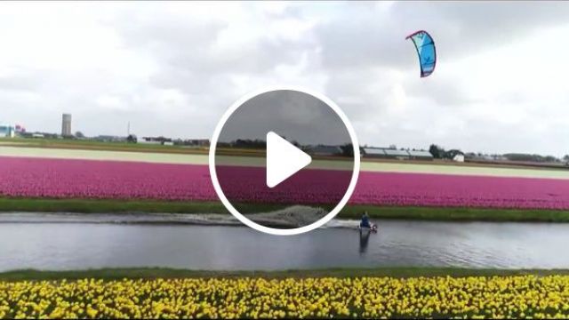 Beautiful Place To Kitesurfing - Video & GIFs | flower, funny, kitesurfing, field