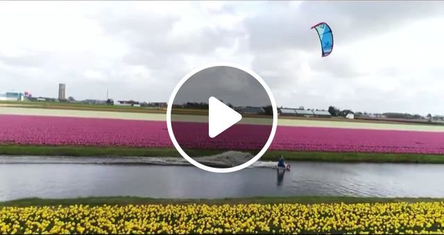 Beautiful Place To Kitesurfing - Video & GIFs | flower, funny, kitesurfing, field