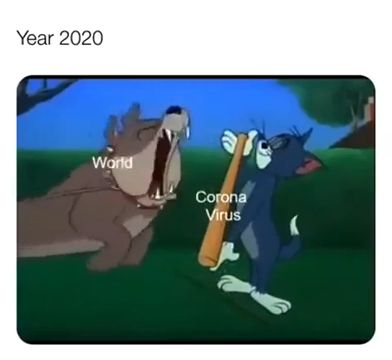 The world 2020 in one meme video, funny, meme, cartoon, tom cat, world.