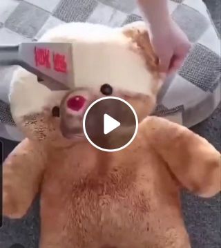 Dirty Teddy Bear