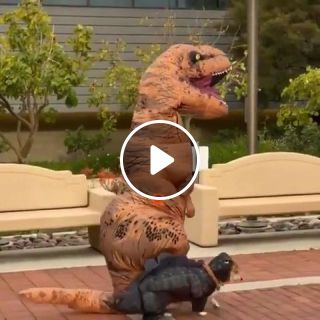 Dog and owner dinosaur costume for walking around together