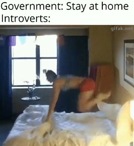 Government: Stay at home Introverts - Video & GIFs | memes,funny,stay home,quarantine,coronavirus