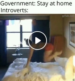 Government: Stay at home Introverts
