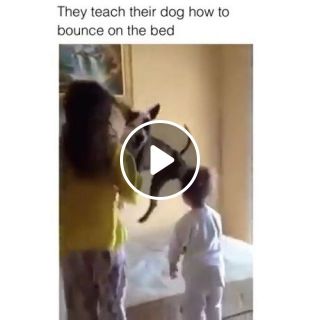 Two kids teach their dog how to bounce on the bed