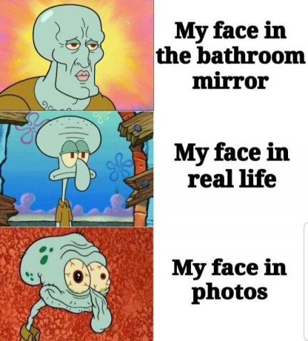 Handsome Squidward - Video & GIFs | squidward meme, memes, funny